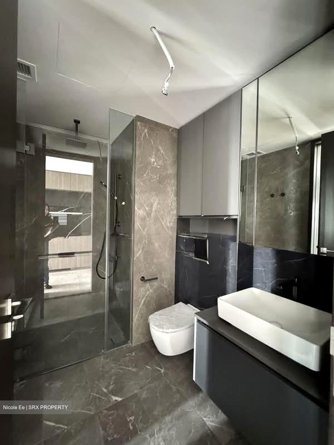 Irwell Hill Residences (D9), Apartment #577690751
